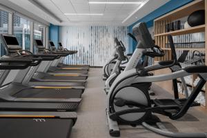 Fitness centrum a/nebo fitness zařízení v ubytování Element Miami Brickell