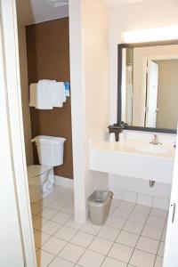 a bathroom with a sink and a toilet and a mirror at Fairfield Inn & Suites Butler in Butler
