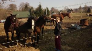 un jeune garçon debout à côté d'une clôture avec des chevaux dans l'établissement Country club Konírna, à Šluknov 1 autre photo