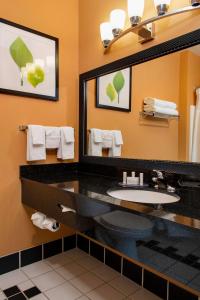 La salle de bains est pourvue d'un lavabo et d'un grand miroir. dans l'établissement Fairfield Inn and Suites Santa Rosa Sebastopol, à Sebastopol
