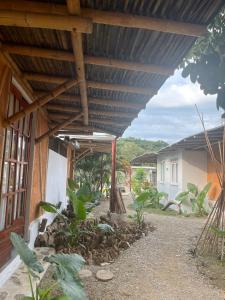 a house with a wooden roof and a building at KUA Cabañas in Palomino