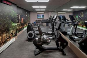a gym with rows of cardio bikes and treadmills at Courtyard by Marriott New York Manhattan/ Fifth Avenue in New York