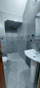 Tamraght Ouzdar的住宿－Tamraght agadir，带淋浴、盥洗盆和卫生间的浴室