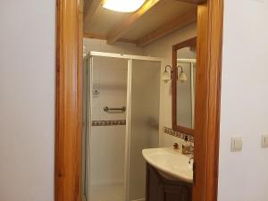 uma casa de banho com um chuveiro, um lavatório e um espelho. em Apartamento con pequeño jardín en el centro em Ferrol