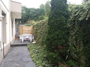 Zahrada ubytování Apartamento con pequeño jardín en el centro + 8 fotografií