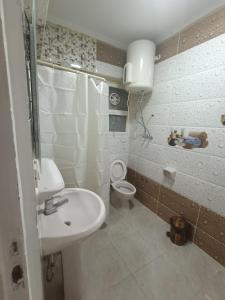 een kleine badkamer met een wastafel en een toilet bij Apartment closes to city stars شقة فخمة من سيتي ستارز in Caïro