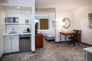 a hotel room with a bed and a desk at SpringHill Suites Hampton in Hampton