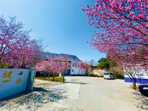 eine Straße mit akura-Bäumen vor einem Gebäude in der Unterkunft Junyi Landscape Villa in Renai