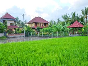 a field of green grass next to a house at Pondok Ayu Soca in Ubud