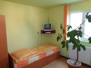 a bedroom with a small bed and a tv on a shelf at Gasthaus Enduro Bica in Caransebeş