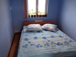 a bed in a blue room with two pillows at Gasthaus Enduro Bica in Caransebeş