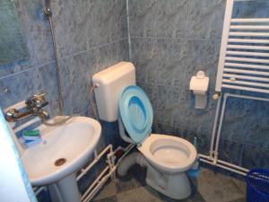 a bathroom with a toilet and a sink at Gasthaus Enduro Bica in Caransebeş +10 photos