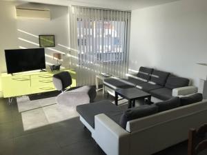 Televízia a/alebo spoločenská miestnosť v ubytovaní Appartement spacieux avec terrasse, solarium, parking et piscine - FR-1-723-5