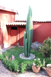 a cactus in a yard next to a red building at Hotel Villa Urubamba in Urubamba