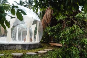 a clear igloo in the middle of a garden at Bubble Siargao in General Luna