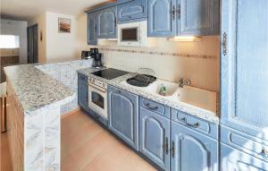 kuchnia z niebieskimi szafkami i zlewem w obiekcie 3 Bedroom Gorgeous Home In Portiragnes w mieście Portiragnes