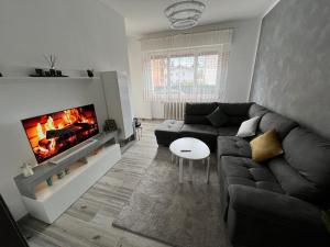 a living room with a couch and a fireplace at Casa di Afi, lago maggiore 5 min Perfect For 4 - Kitchen - Parking - Netflix in Arona