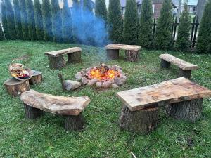 a fire pit with logs and benches and a fire pit at Dom Na Wsi 
