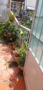 an open door with potted plants on a patio at Forelsket 2 in Da Lat