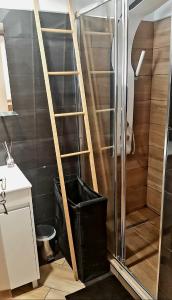 塞辛布拉的住宿－Casa dos pelicanos 3 ROOMS，浴室设有淋浴旁边的梯子