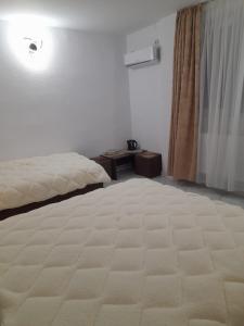 エフォリエ・ノルドにあるCamere de închiriat Darius 16 , 2 camereの大きな白いベッドと窓のある寝室