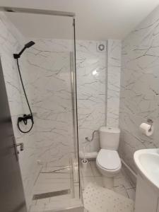 エフォリエ・ノルドにあるCamere de închiriat Darius 16 , 2 camereのシャワー、トイレ、洗面台を備えたバスルーム +14枚の写真