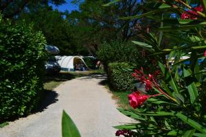 Zahrada ubytování International Camping Ardèche