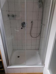 a shower with a glass door in a bathroom at stilvolle Wohnung direkt in der City in Würzburg