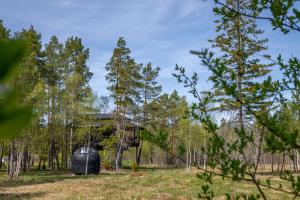 Mynd úr myndasafni af Treehouseestonia í Jõgisoo