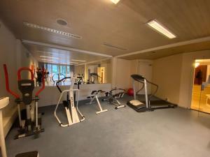 a gym with several treadmills and elliptical machines at Apartment Bella Vista Lugano in Bissone