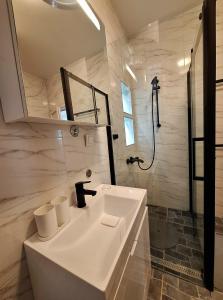 贝尔格莱德GENIUS STUDIO的带水槽和淋浴的白色浴室