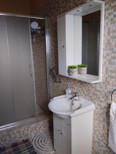 帕福斯的住宿－Michael Angelo Villa，一间带水槽、镜子和淋浴的浴室