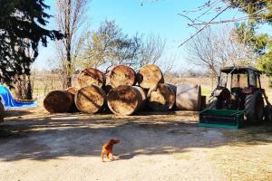 Zdjęcie z galerii obiektu Au cœur de la Nature w mieście Coursan