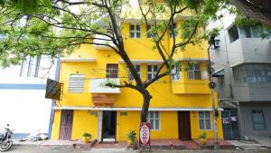 Un edificio amarillo con un árbol delante. en MOHI VILLA, en Pondicherry
