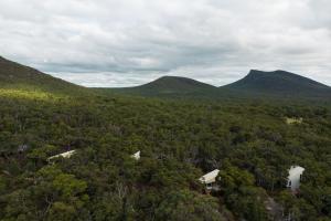 an aerial view of a forest with mountains in the background at Aquila Eco Lodges in Dunkeld