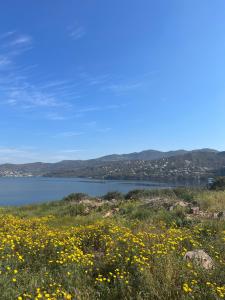 a field of flowers with a lake in the background at Perdika's Nest, family friendly house by the sea in Perdika