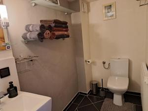 a bathroom with a toilet and a sink and towels at AuenGut-Bertsdorf in Bertsdorf