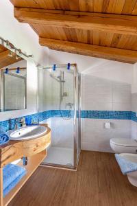 ein Bad mit einer Dusche, einem Waschbecken und einem WC in der Unterkunft B&b La Casa di Elsa in Polcenigo