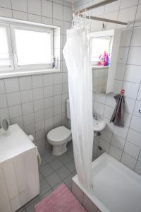 Koupelna v ubytování Apartman Amal