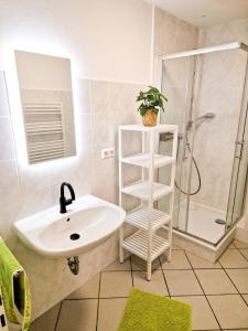 uma casa de banho com um lavatório e um chuveiro em Apartment beim Theater em Hildesheim