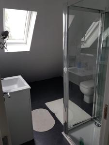 uma casa de banho com um chuveiro, um WC e um lavatório. em 1 bed apartment in West London em Heston