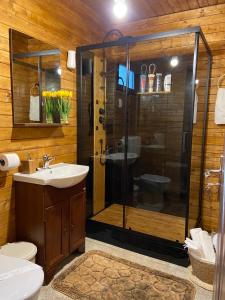 a bathroom with a shower and a sink at Grădina de Vară “La Cristian” in Filipeştii de Tîrg