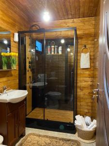 La salle de bains est pourvue d'une douche, d'un lavabo et de toilettes. dans l'établissement Grădina de Vară “La Cristian”, à Filipeştii de Tîrg