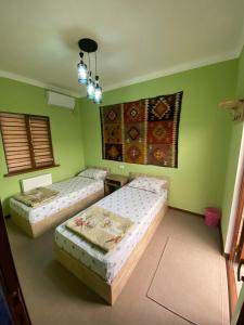 2 camas en una habitación con paredes verdes en HAVAS Guest House, en Bukhara