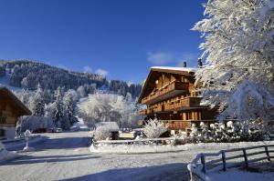 Hotel Bellerive Gstaad að vetri til