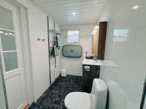 a bathroom with a toilet and a sink at Pieni lomahuoneisto ja ulkoporeallas in Mynämäki +28 photos