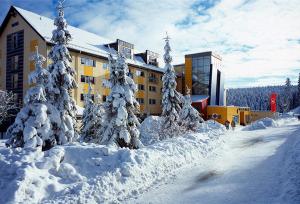 un grupo de árboles cubiertos de nieve frente a un edificio en A&S Ferienzentrum Oberhof, en Oberhof
