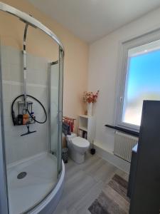 ein Bad mit einer Dusche und einem WC in der Unterkunft La ScarpeHouse - Douai - Wifi in Douai