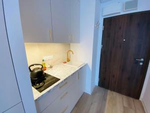 Kuchyňa alebo kuchynka v ubytovaní Gustowny apartament na Woli