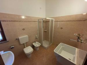 La salle de bains est pourvue de toilettes, d'une douche et d'un lavabo. dans l'établissement B&B San Biagio, à Marola